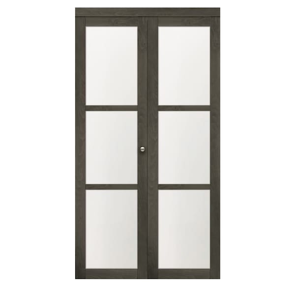 Renin Renin 24 in. x 80 1/2 in. Euro 3-Lite Design Pivot Door PV5402IAFGC024080 - main